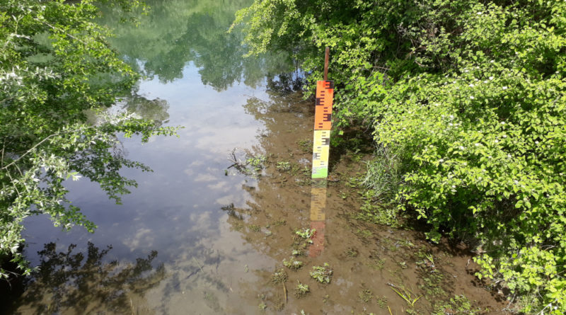 Auen-Wildnispfad Neuried Ortenau Urlaub Freizeit Ausflug Natur Altrhein