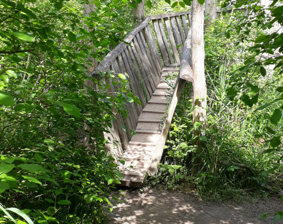 Auen-Wildnispfad Neuried Ortena Brücke Steg Wasservögelu Urlaub Freizeit Ausflug Natur Altrhein