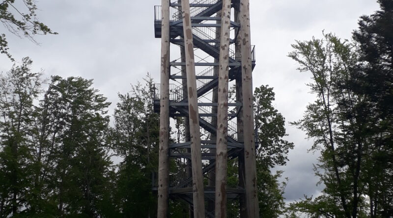 Urenkopfturm Aussichtsturm Schwarzwald Haslach Kinzigtal