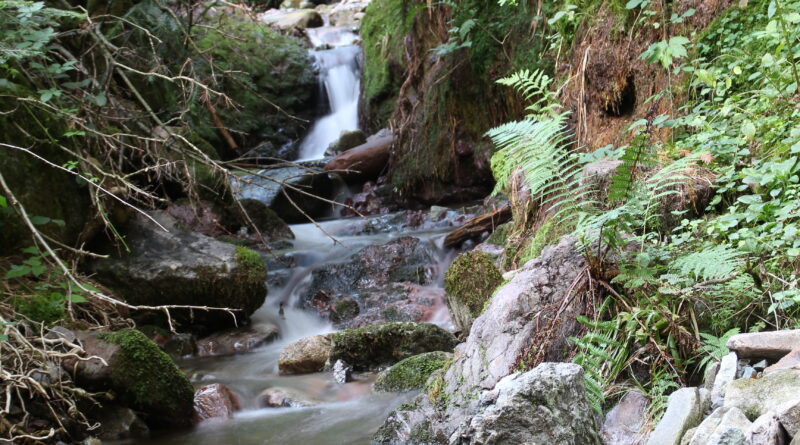 Edelfrauengrab Ottenhöfen Wasserfälle Gottschlägtal ortenau schwarzwald ausflug urlaub Karlsruher Grat