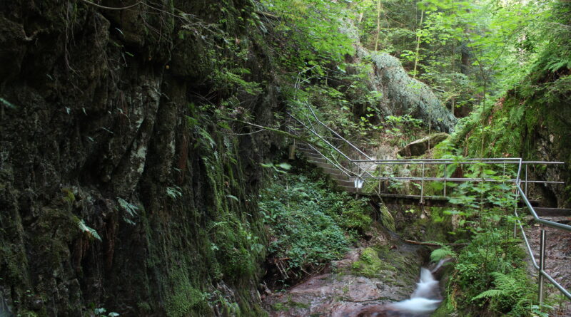 Edelfrauengrab Ottenhöfen Wasserfälle Gottschlägtal ortenau schwarzwald ausflug urlaub wandern natur Karlsruher Grat
