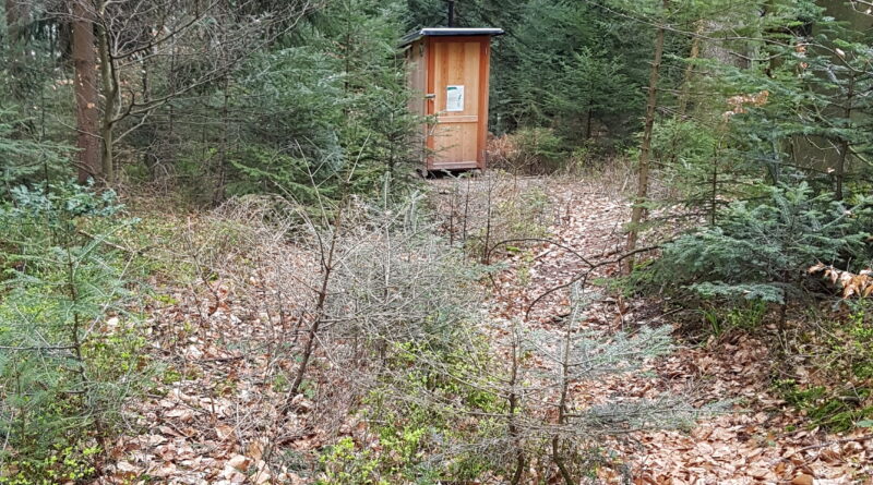 trekking schwarzwald wandern wildcampen campen ortenau nationalpark