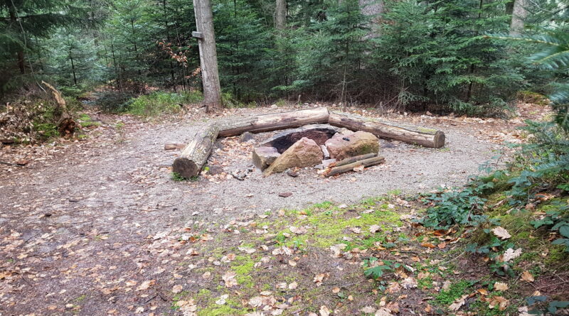 trekking schwarzwald wandern wildcampen campen ortenau nationalpark bösellbach kniebis späneplatz