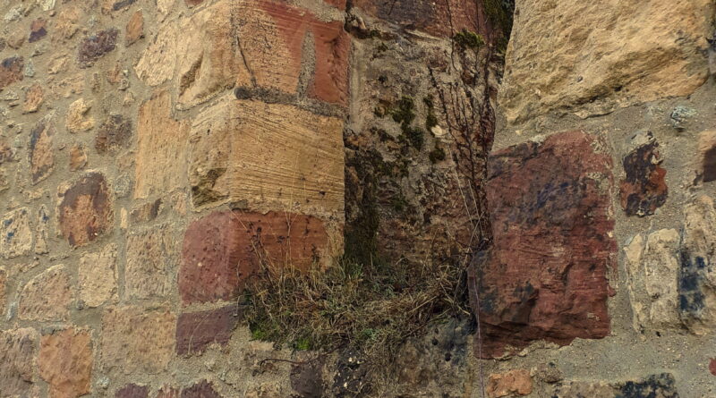 Ruine Diersburg Schloss dierbsurg ausflug ortenau ruine burg