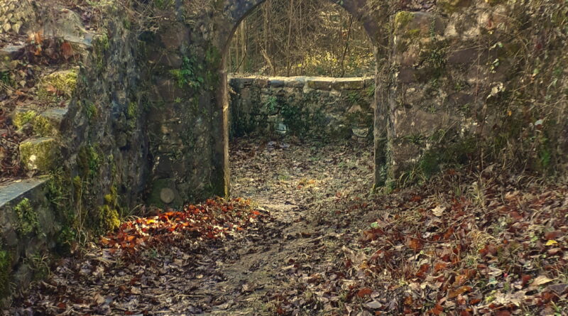 Ruine Diersburg schoss dierbsurg ausflugsziel ortenau